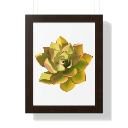 Noble Aeonium Succulent Framed Print – Botanical Wall Art