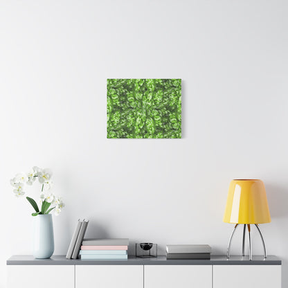Aglaonema Pictum Canvas Print – Botanical Wall Art