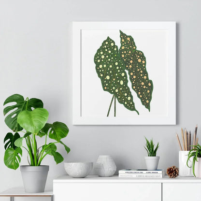 Begonia Maculata Framed Print – Botanical Wall Art