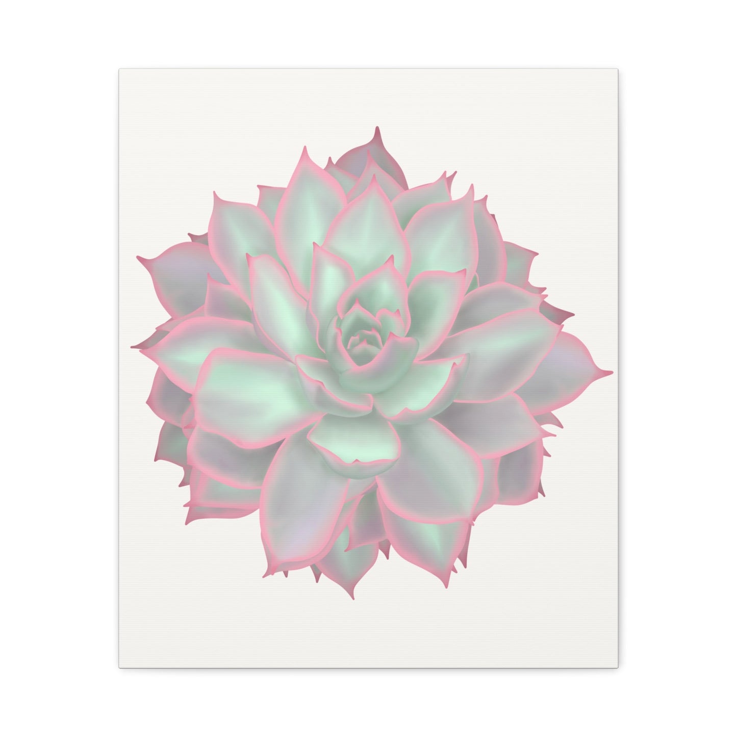Echeveria Violet Queen Succulent Canvas Print – Botanical Wall Art