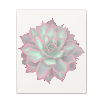 Echeveria Violet Queen Succulent Canvas Print – Botanical Wall Art