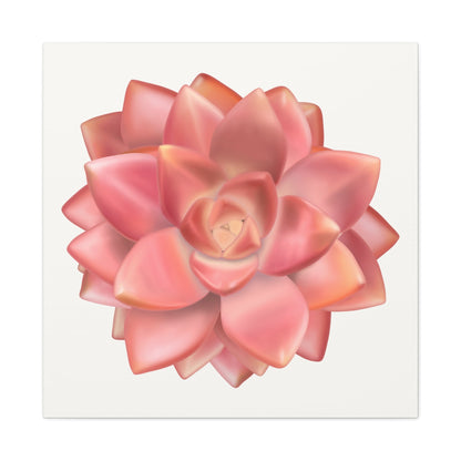Graptosedum California Sunset Succulent Canvas Print – Botanical Wall Art
