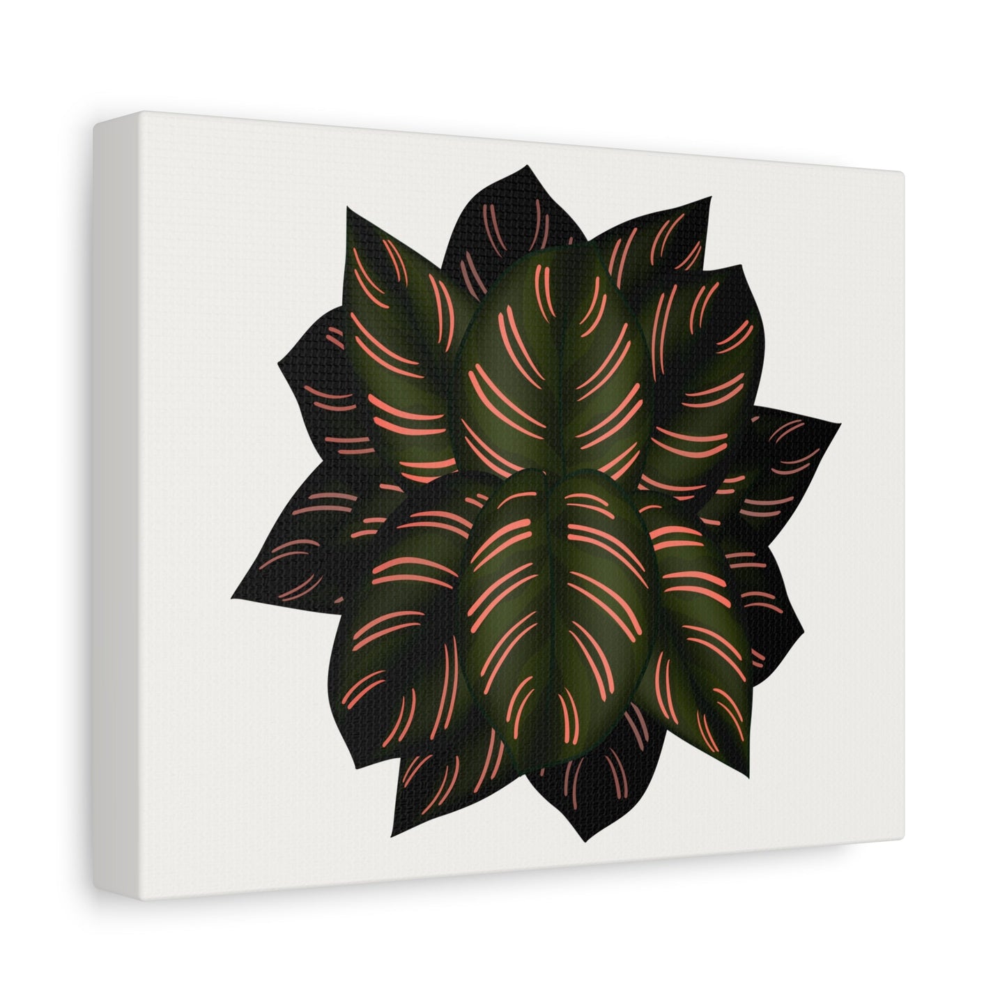 Calathea Pinstripe Canvas Print – Botanical Wall Art