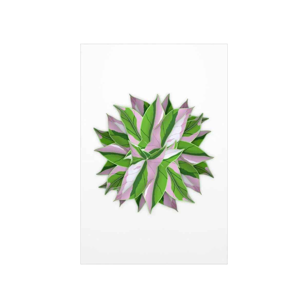 Syngonium Tricolor Pattern Botanical Print – Unframed Wall Art