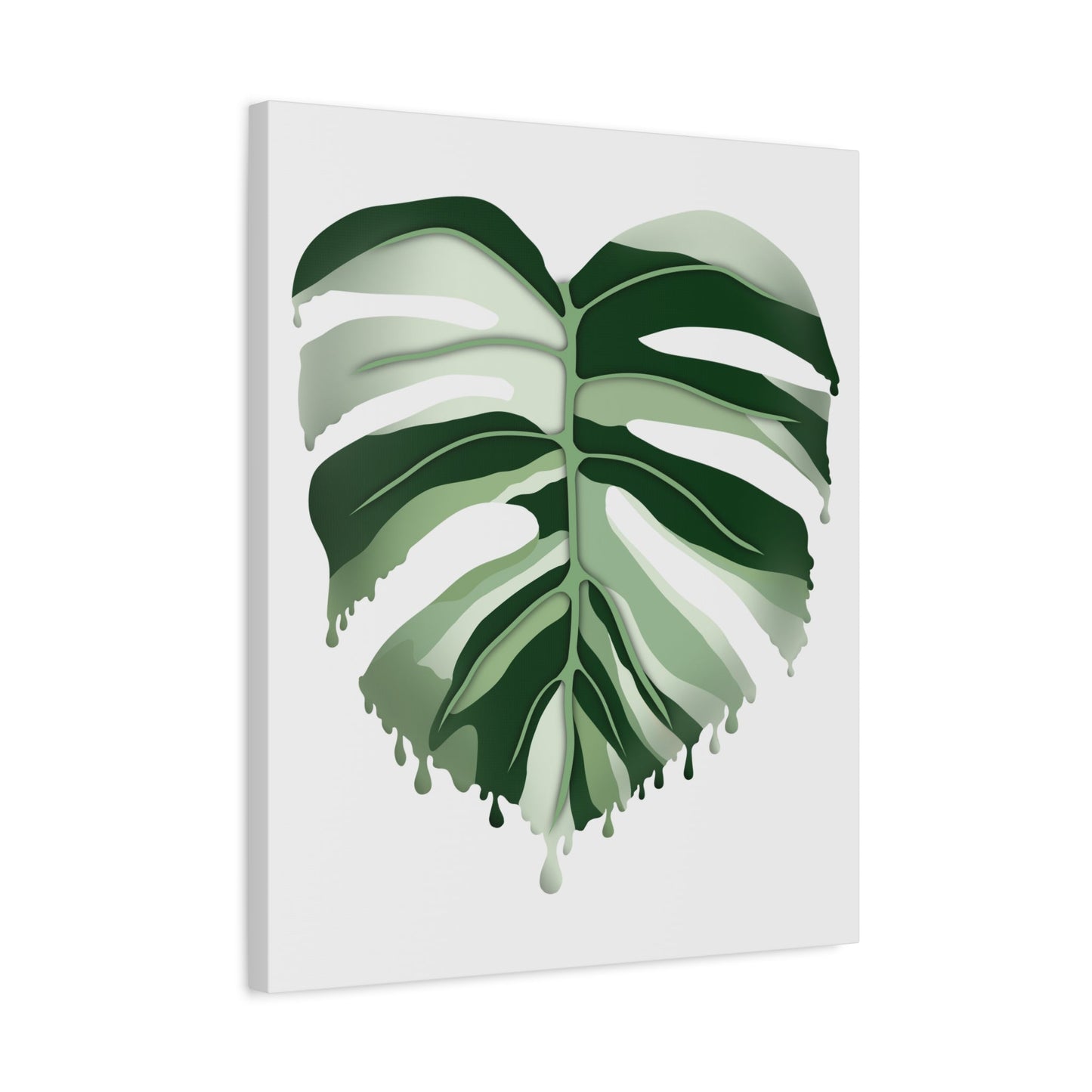 Melting Monstera Albo Canvas Print – Botanical Wall Art
