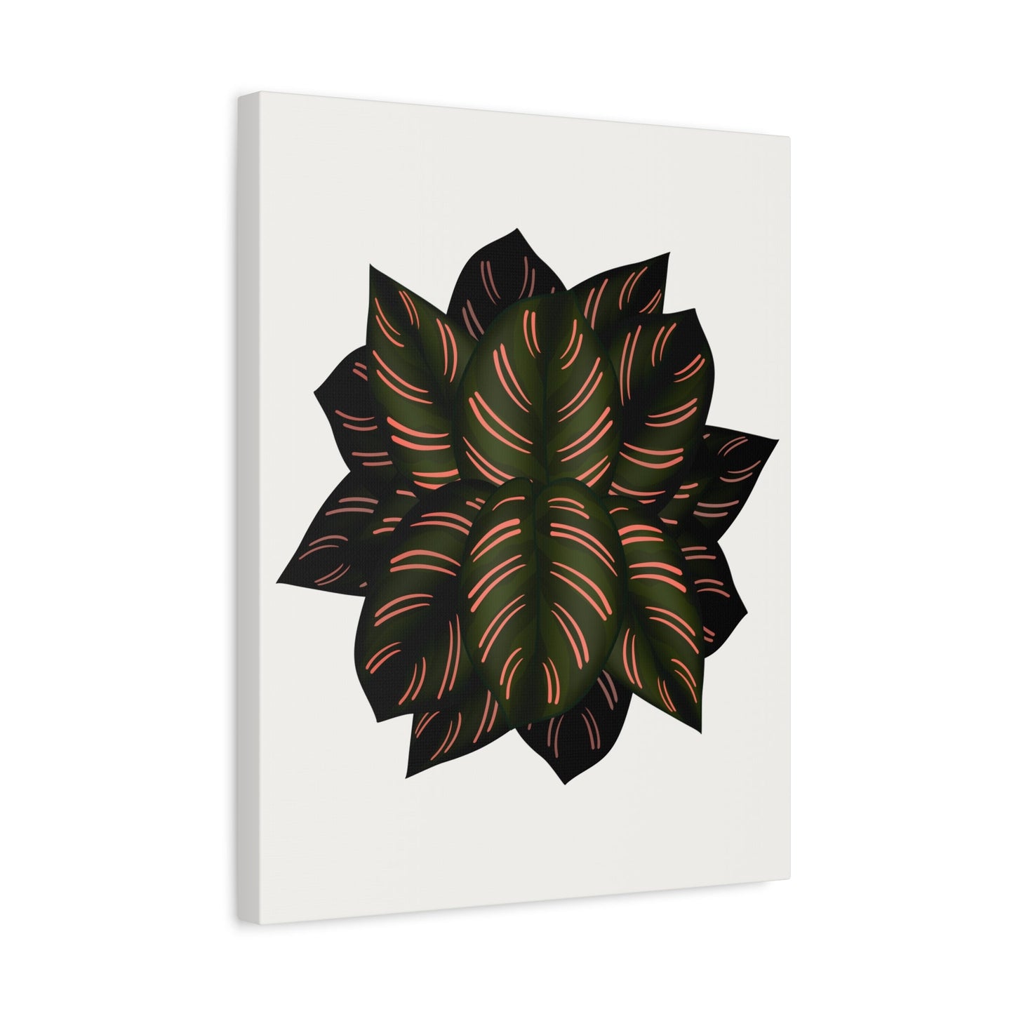 Calathea Pinstripe Canvas Print – Botanical Wall Art