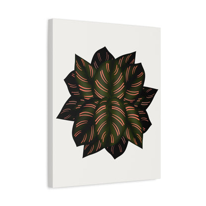 Calathea Pinstripe Canvas Print – Botanical Wall Art