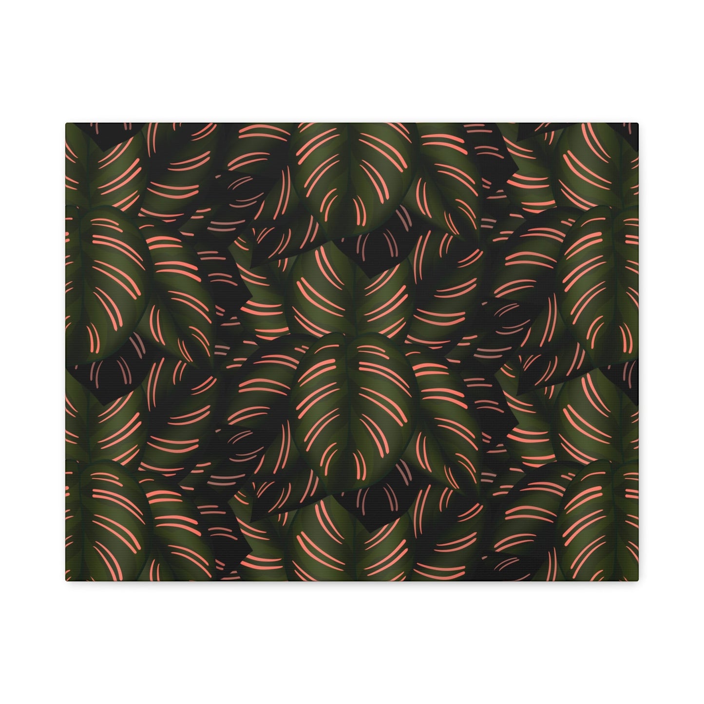 Calathea Pinstripe Pattern Canvas Print – Botanical Wall Art