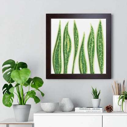 Snake Plant Framed Print – Botanical Wall Art