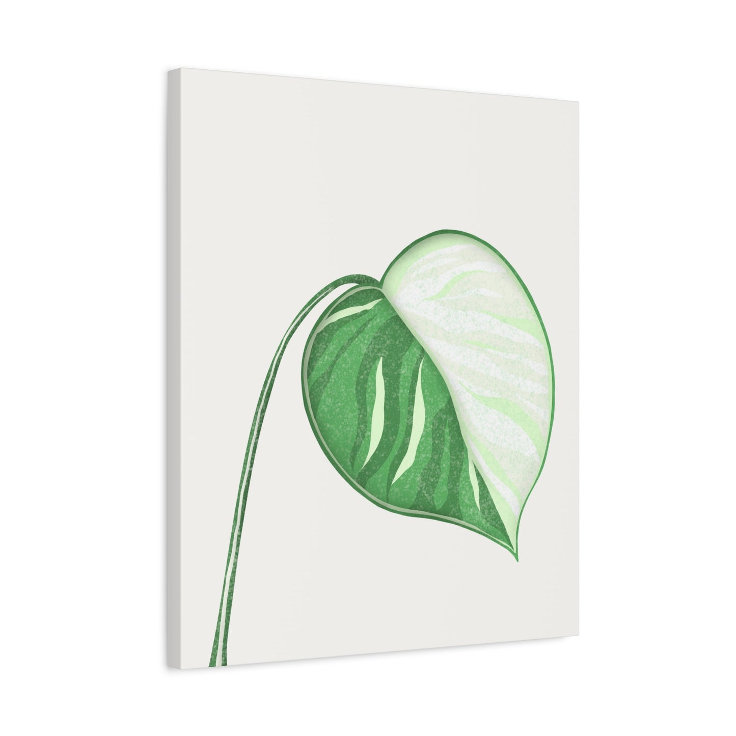 Monstera Albo Canvas Print – Botanical Wall Art