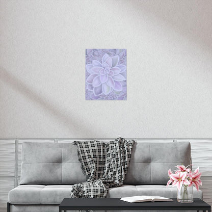 Graptopetalum Murasaki Succulent Pattern Botanical Print – Unframed Wall Art