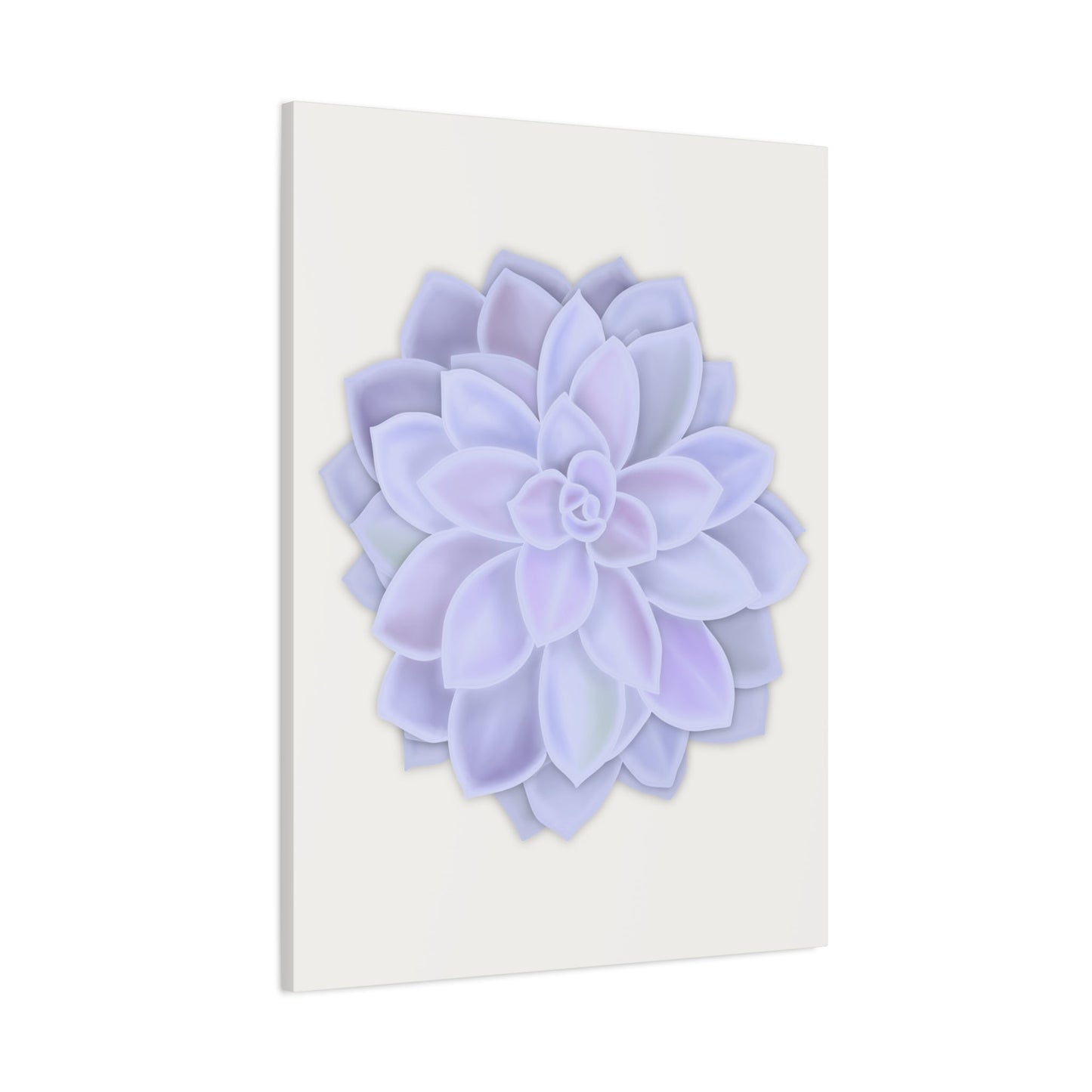 Graptopetalum Murasaki Succulent Canvas Print – Botanical Wall Art