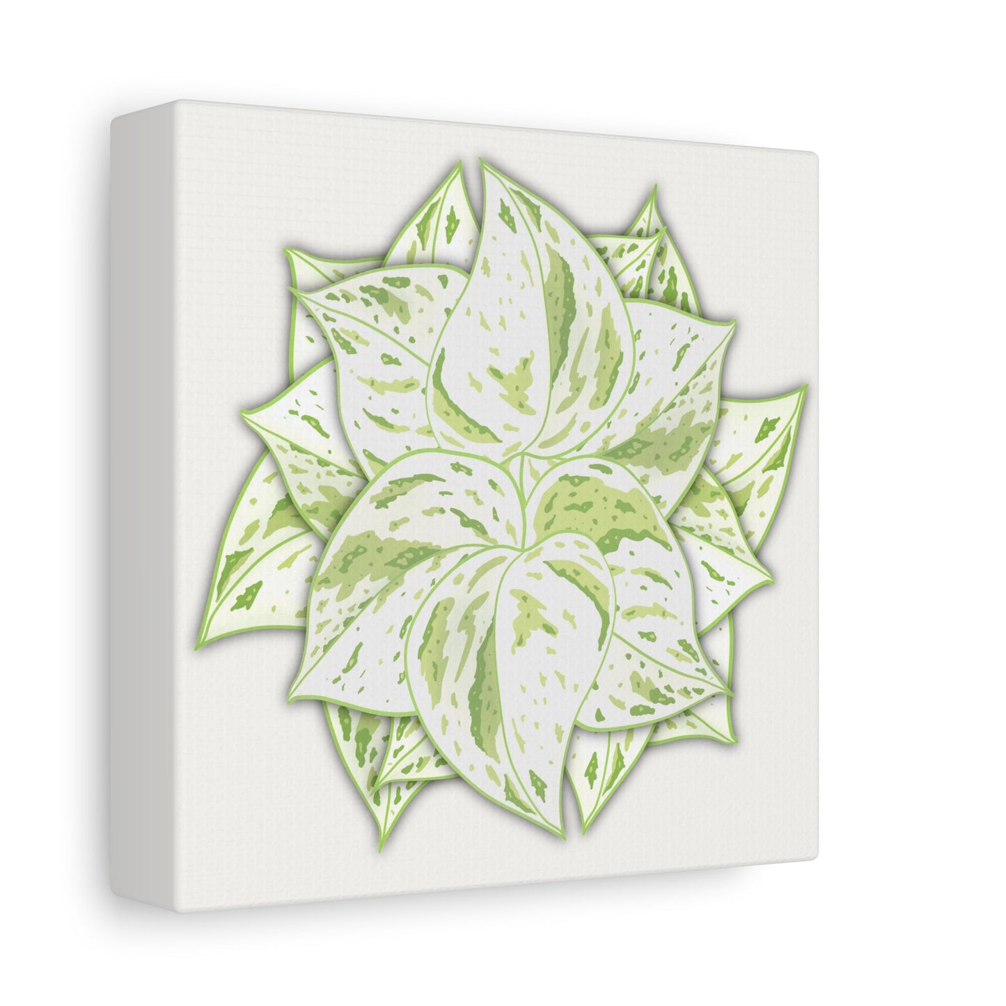 Snow Queen Pothos Canvas Print – Botanical Wall Art
