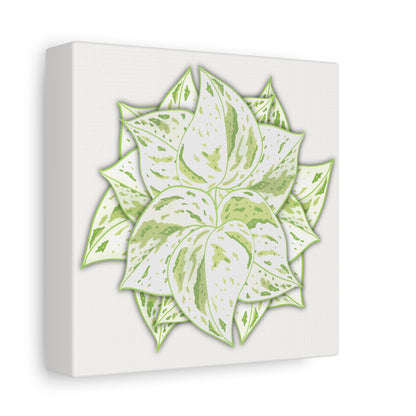 Snow Queen Pothos Canvas Print – Botanical Wall Art