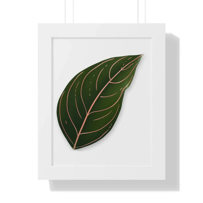 Aglaonema Rotundum Framed Print – Botanical Wall Art