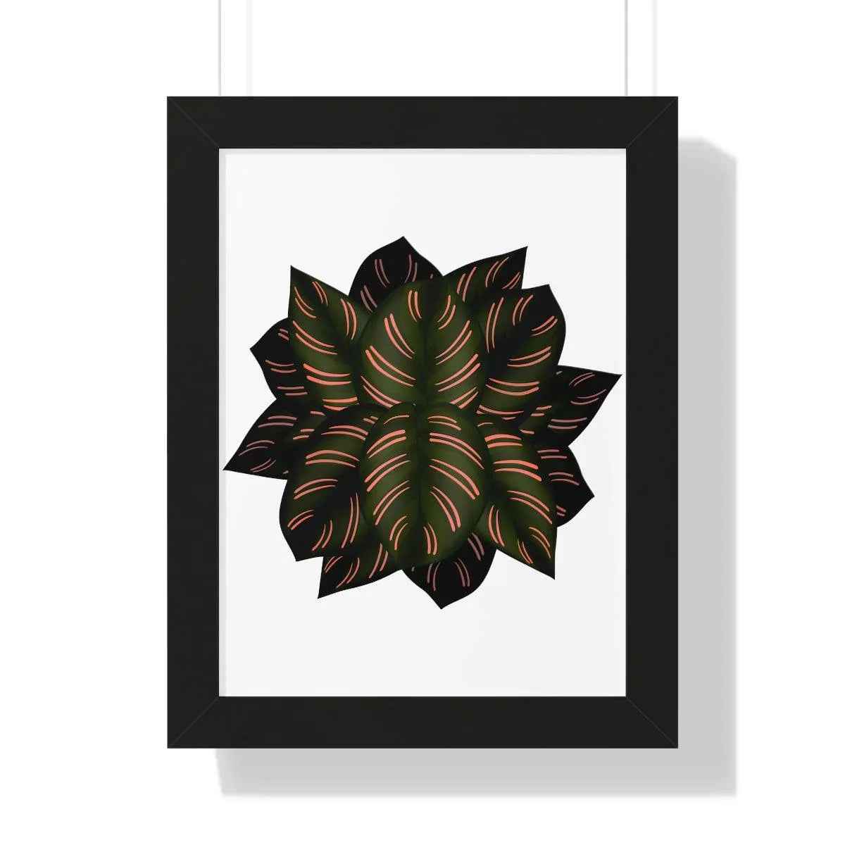 Calathea Pinstripe Framed Print – Botanical Wall Art