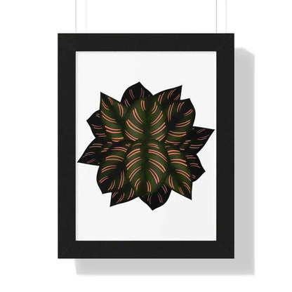Calathea Pinstripe Framed Print – Botanical Wall Art