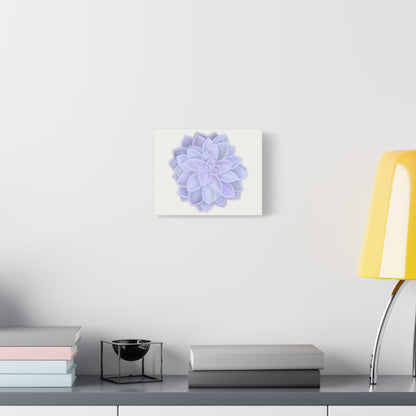 Graptopetalum Murasaki Succulent Canvas Print – Botanical Wall Art
