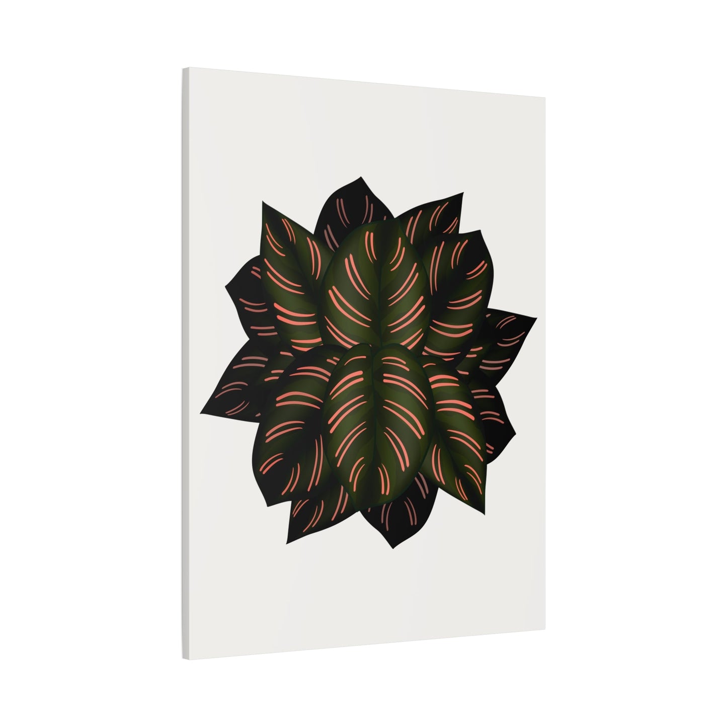Calathea Pinstripe Canvas Print – Botanical Wall Art