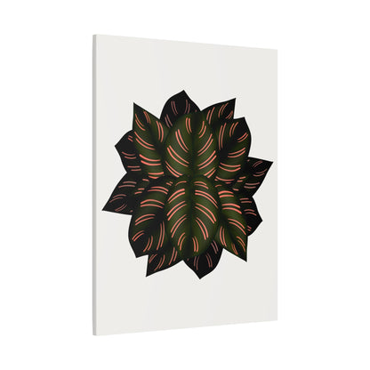 Calathea Pinstripe Canvas Print – Botanical Wall Art