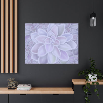 Graptopetalum Murasaki Succulent Pattern Canvas Print – Botanical Wall Art