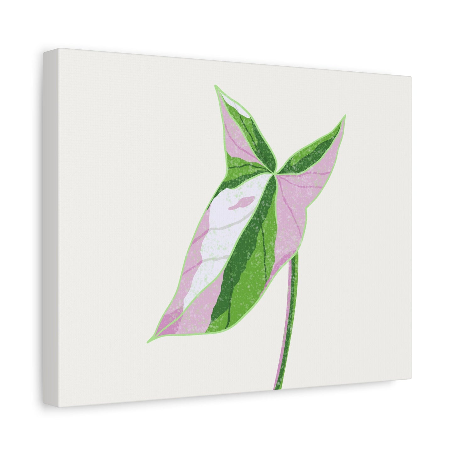 Syngonium Tricolor Canvas Print – Botanical Wall Art