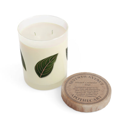 Aglaonema Rotundum Soy Candle 11 oz – Three Scent Options