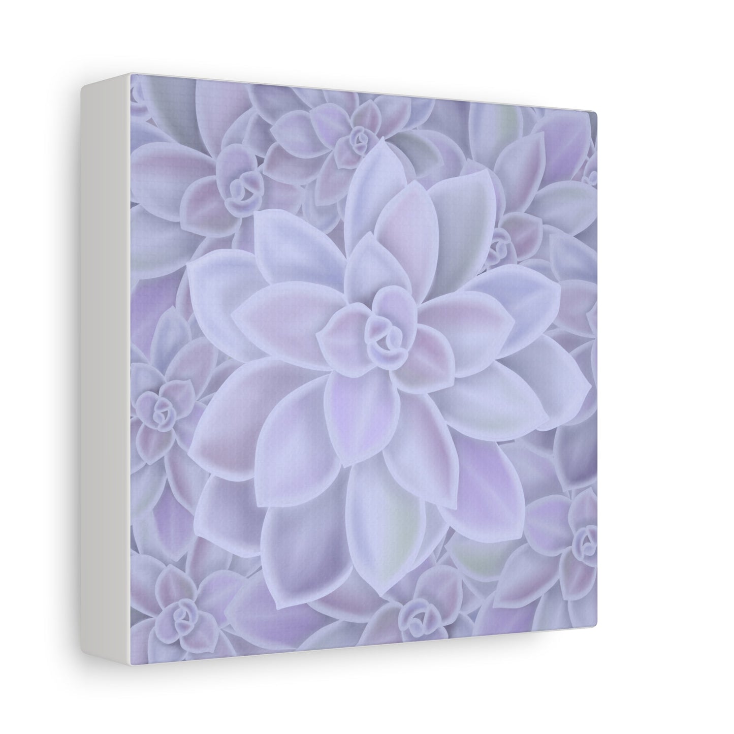 Graptopetalum Murasaki Succulent Pattern Canvas Print – Botanical Wall Art