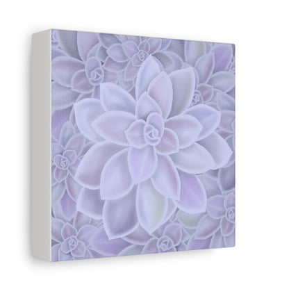 Graptopetalum Murasaki Succulent Pattern Canvas Print – Botanical Wall Art