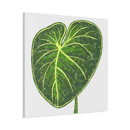 Philodendron Gloriosum Canvas Print – Botanical Wall Art