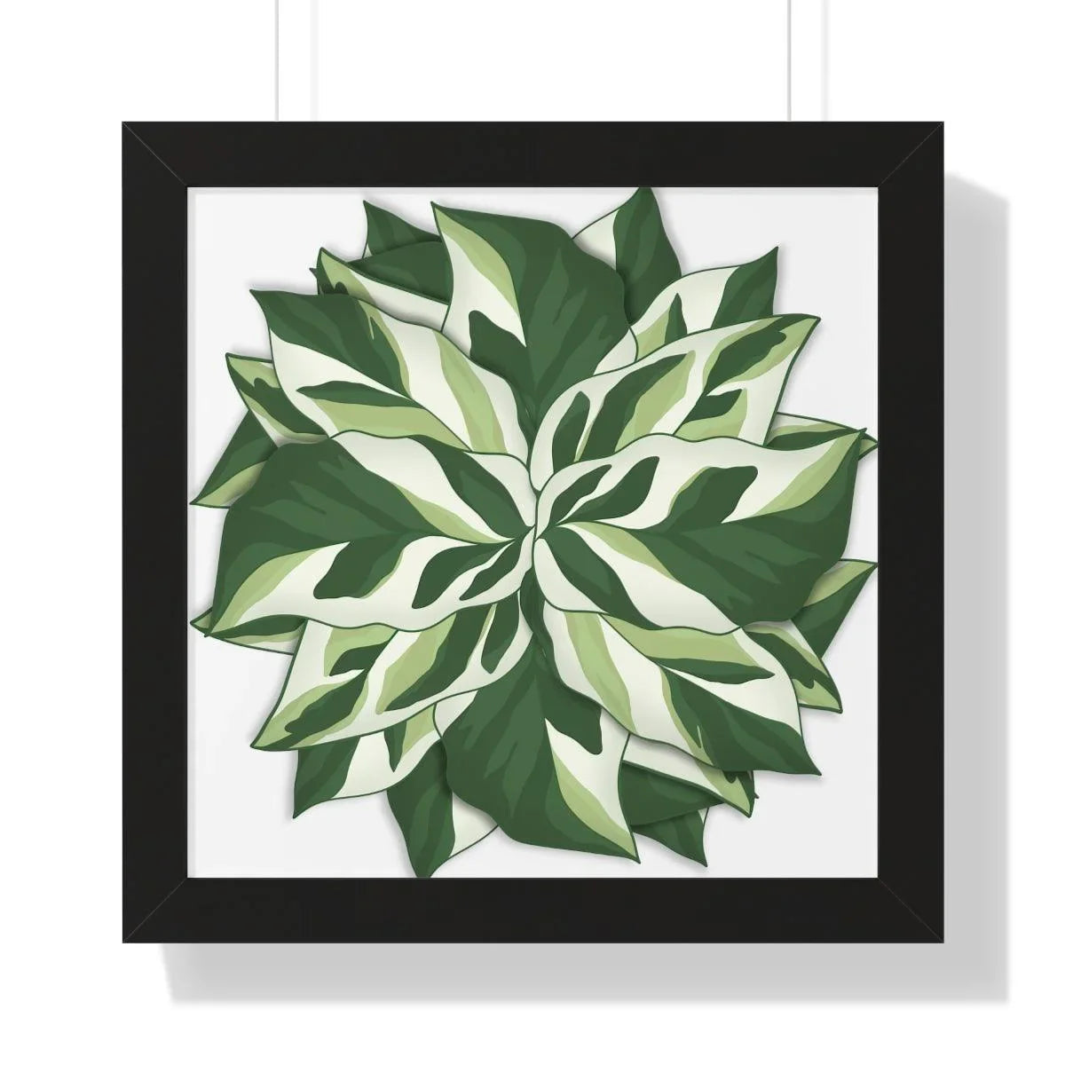 Calathea White Fusion Framed Print – Botanical Wall Art