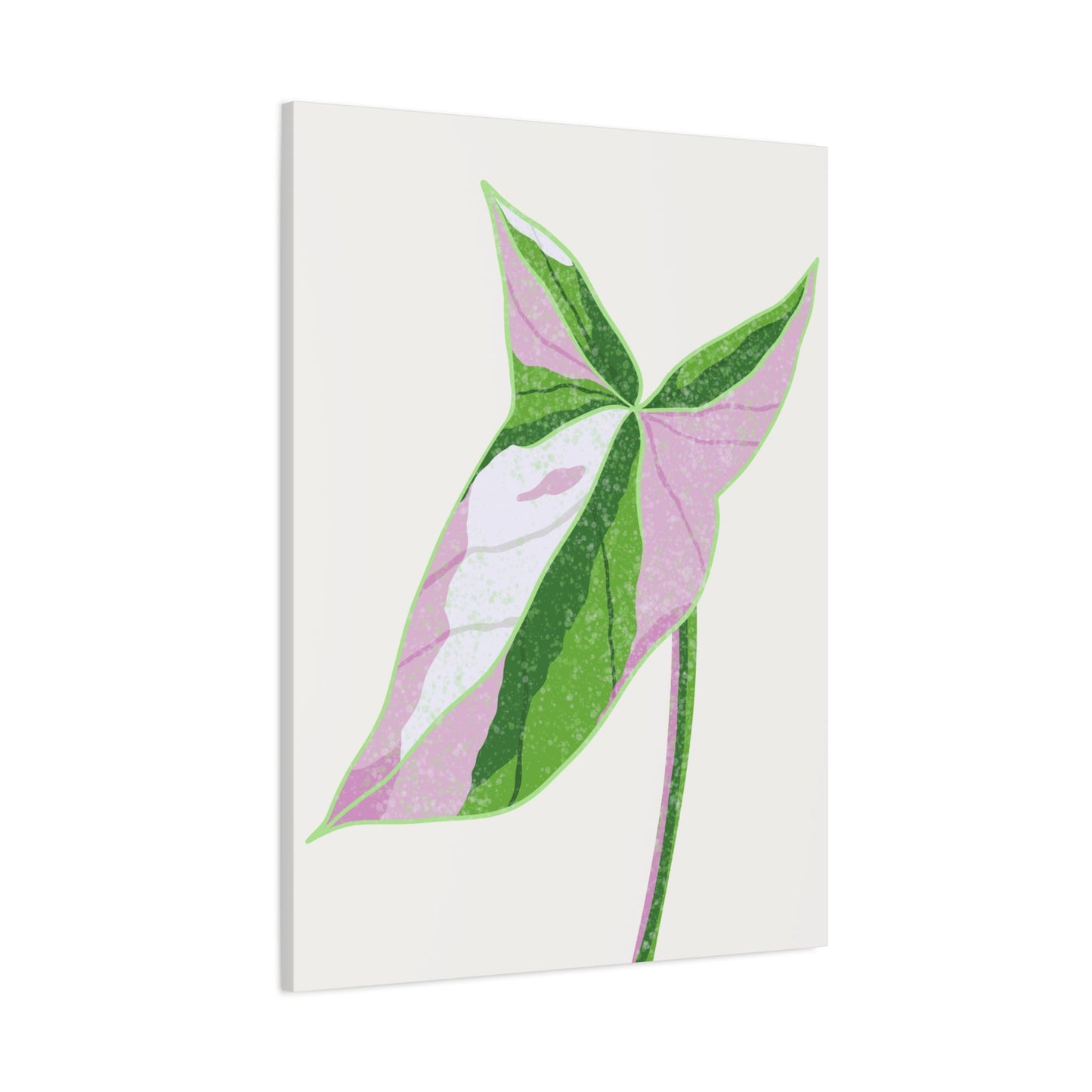 Syngonium Tricolor Canvas Print – Botanical Wall Art