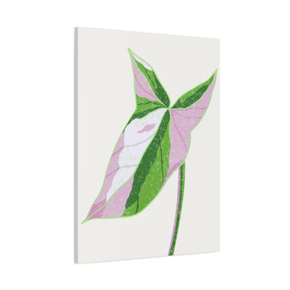 Syngonium Tricolor Canvas Print – Botanical Wall Art