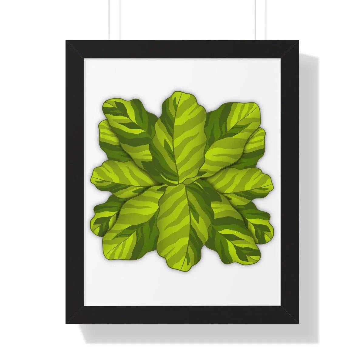 Calathea Yellow Fusion Framed Print – Botanical Wall Art