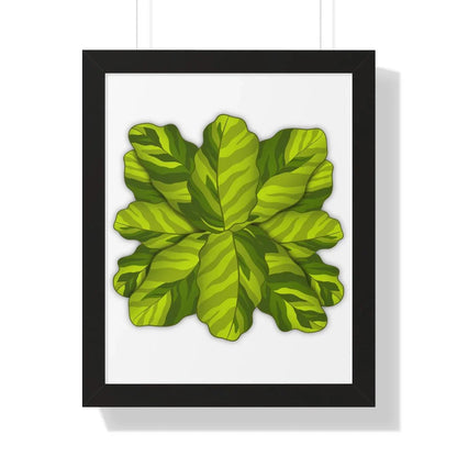 Calathea Yellow Fusion Framed Print – Botanical Wall Art