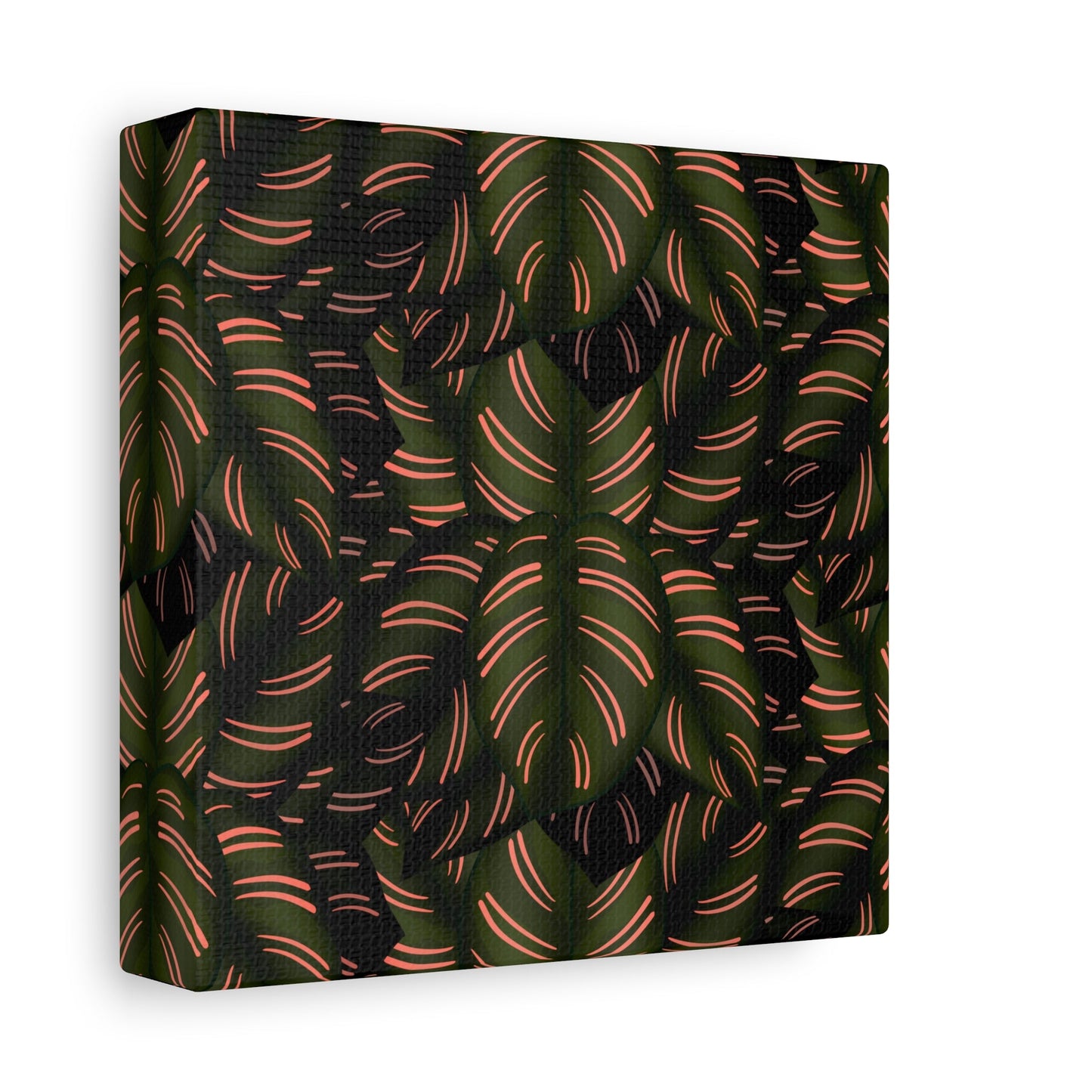 Calathea Pinstripe Pattern Canvas Print – Botanical Wall Art