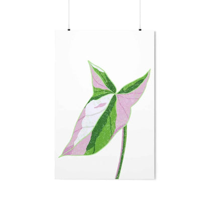 Syngonium Tricolor Botanical Print – Unframed Wall Art
