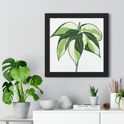 Philodendron Cream Splash Framed Print – Botanical Wall Art