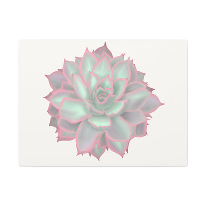 Echeveria Violet Queen Succulent Canvas Print – Botanical Wall Art