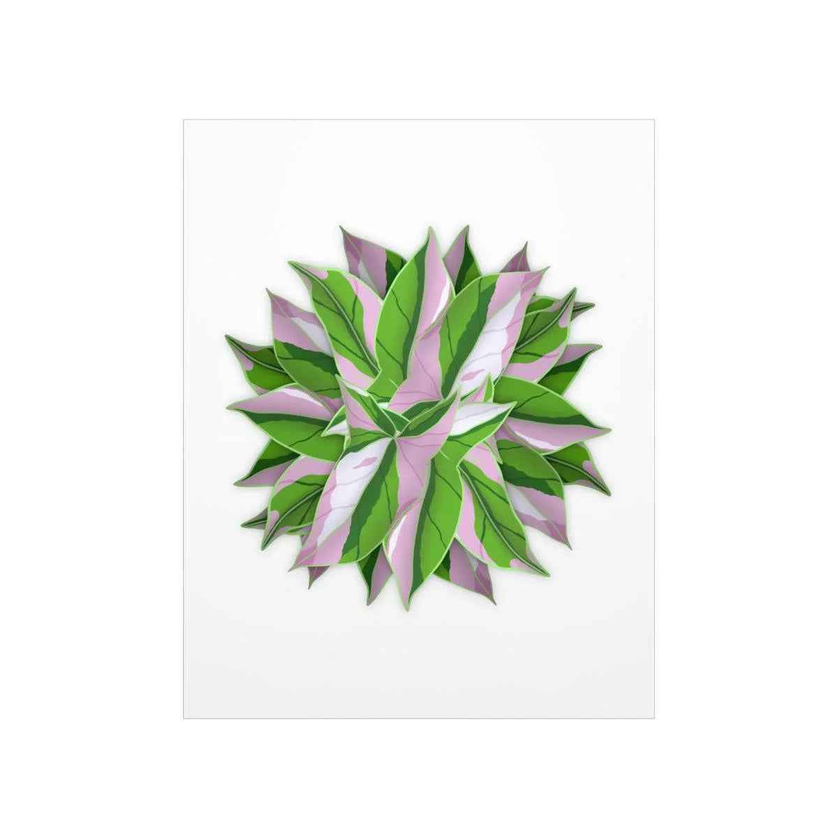 Syngonium Tricolor Pattern Botanical Print – Unframed Wall Art