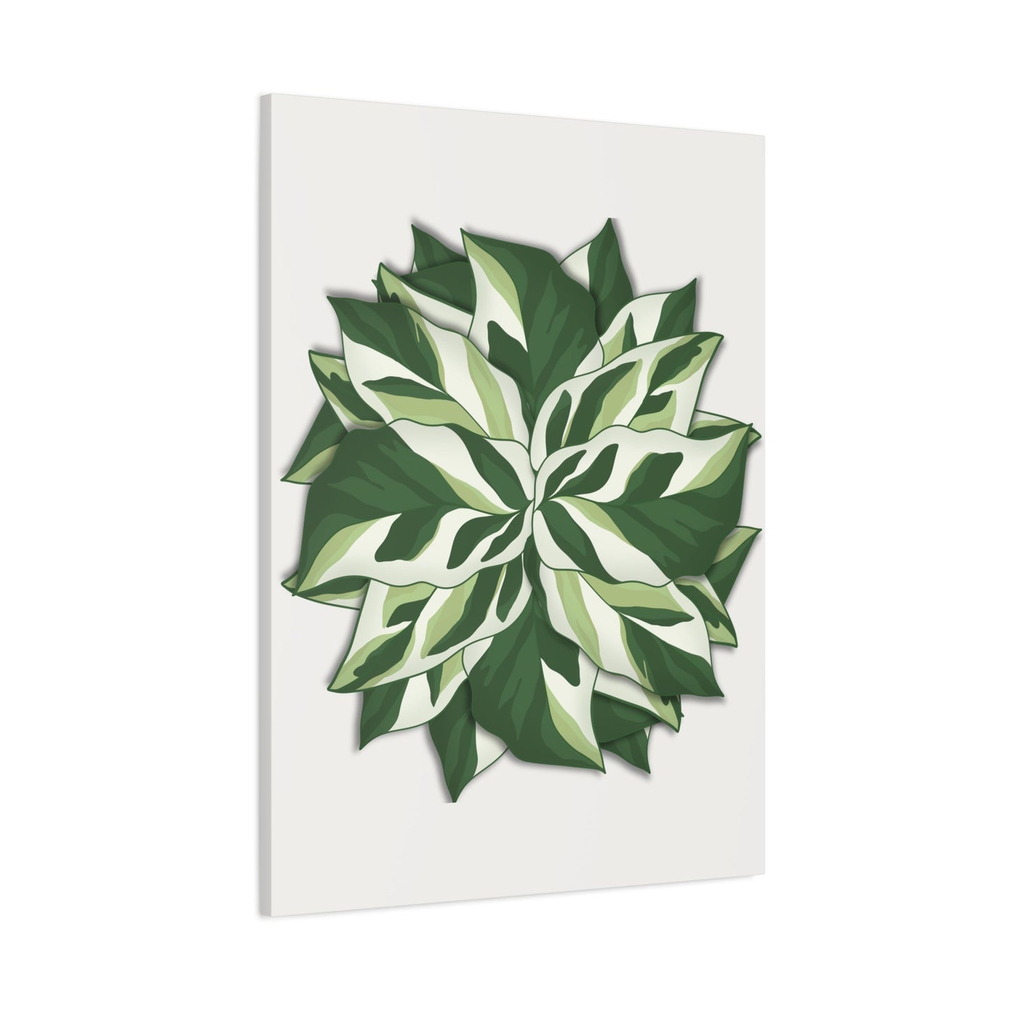 Calathea White Fusion Canvas Print – Botanical Wall Art