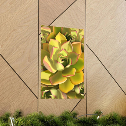 Noble Aeonium Succulent Pattern Botanical Print – Unframed Wall Art
