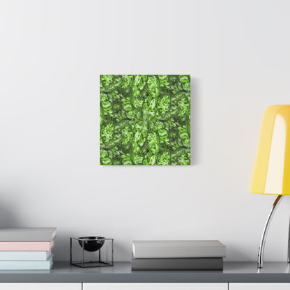 Aglaonema Pictum Canvas Print – Botanical Wall Art