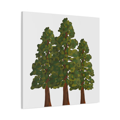Coastal Redwood Canvas Print – Wall Art