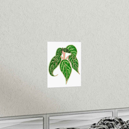 Aglaonema Sparkling Sarah Botanical Print – Unframed Wall Art