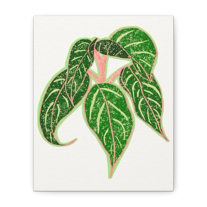 Aglaonema Sparkling Sarah Canvas Print – Botanical Wall Art