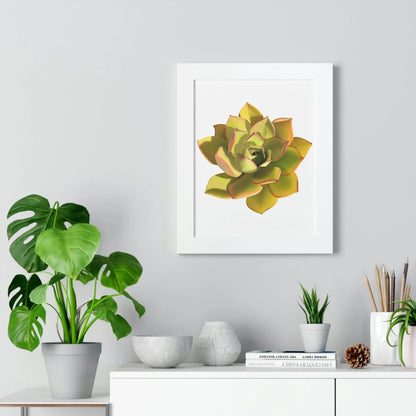 Noble Aeonium Succulent Framed Print – Botanical Wall Art