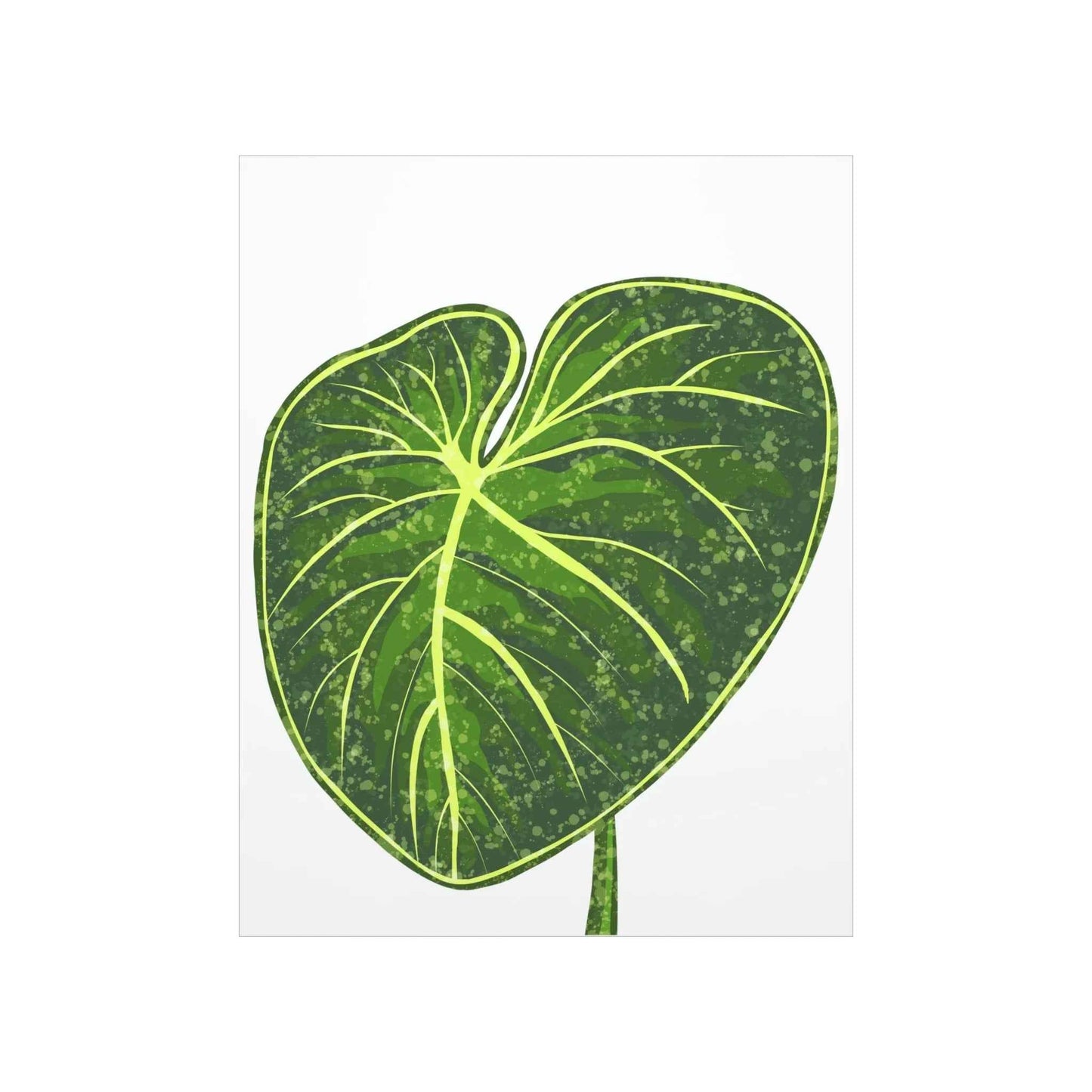 Philodendron Gloriosum Botanical Print – Unframed Wall Art