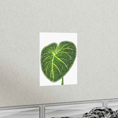 Philodendron Gloriosum Botanical Print – Unframed Wall Art