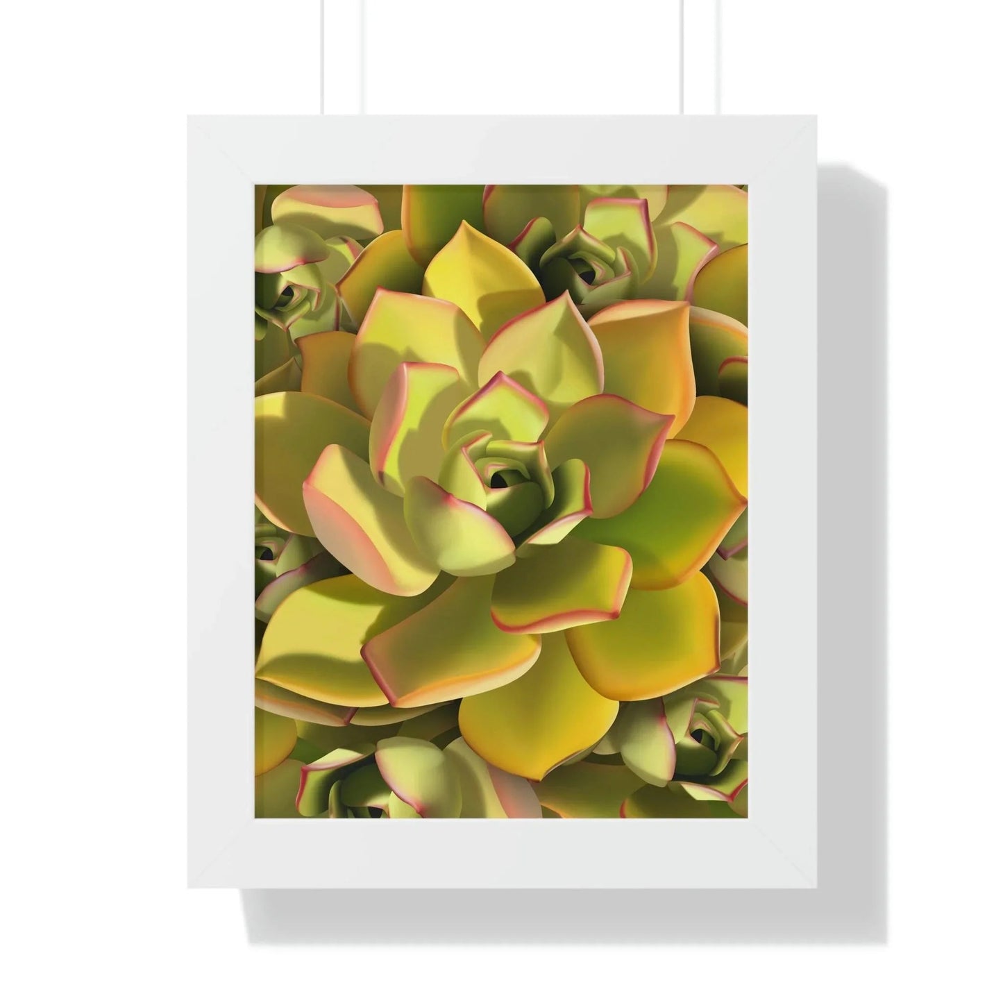 Noble Aeonium Succulent Pattern Framed Print – Botanical Wall Art